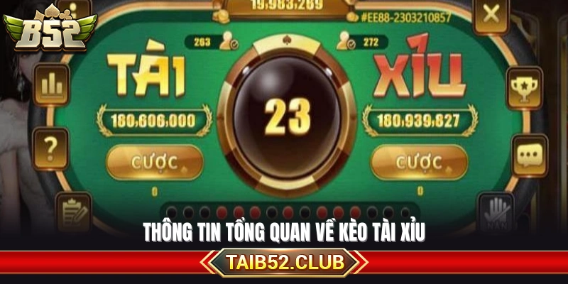 Kiến thức căn bản về loại hình tài xỉu